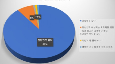 문재인은 간첩 89%로 1위[여론조사결과]