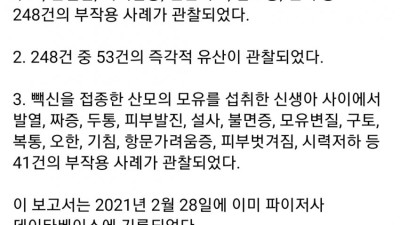 화이자 임산부와 모유수유자 임상실험 보고서