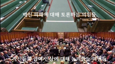 국회의원이 하는 일 (영국)