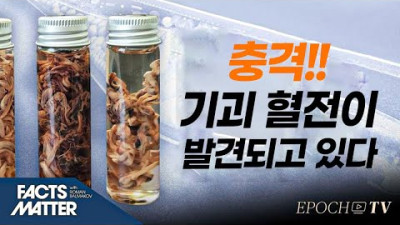 전 세계 ‘기괴 혈전’ 사례 폭증… 그 이유는?