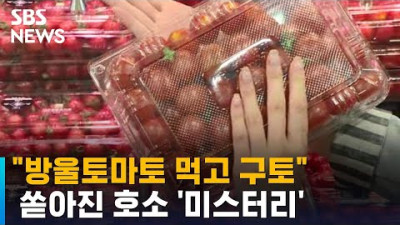 방울토마토 먹고 구토…신고 잇따라 식약처 조사 착수 / SBS / 오클릭