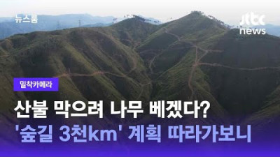 산불 막으려 나무 베겠다?…'숲길 3000km