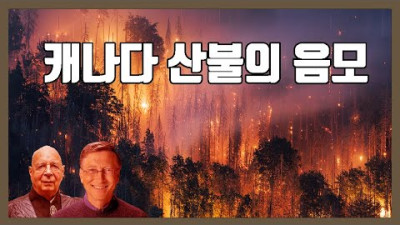 캐나다 산불의 비밀