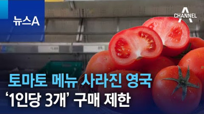 토마토 메뉴 사라진 영국…‘1인당 3개’ 구매 제한